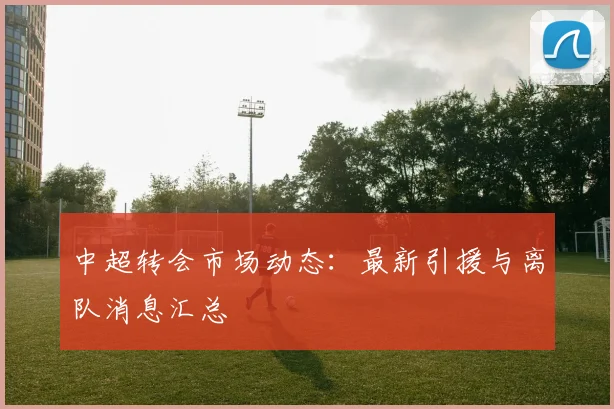 中超转会市场动态：最新引援与离队消息汇总