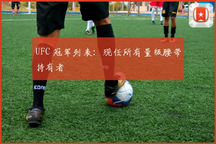 UFC 冠军列表:现任所有量级腰带持有者